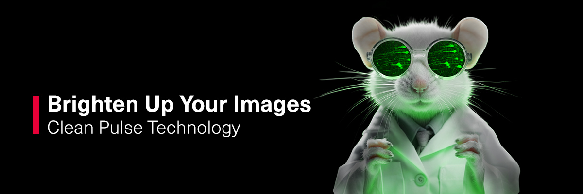 The image features a white mouse dressed in a scientific lab outfit. The mouse is wearing glowing green safety goggles, giving it a futuristic appearance. The goggles reflect a luminous neural pattern, suggesting scientific experiments or research. The mouse is clad in a white lab coat and stands against a black background, which makes the glowing details particularly striking. This depiction blends elements of science and fantasy to create a humorous yet impressive scene.